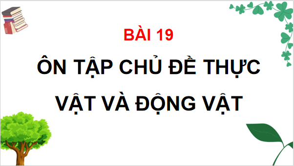 Giáo án điện tử TNXH lớp 3 Chân trời sáng tạo Bài 19: Ôn tập chủ đề thực vật và động vật | PPT Tự nhiên và xã hội lớp 3
