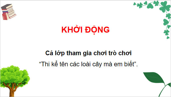 Giáo án điện tử TNXH lớp 3 Chân trời sáng tạo Bài 19: Ôn tập chủ đề thực vật và động vật | PPT Tự nhiên và xã hội lớp 3