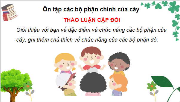 Giáo án điện tử TNXH lớp 3 Chân trời sáng tạo Bài 19: Ôn tập chủ đề thực vật và động vật | PPT Tự nhiên và xã hội lớp 3
