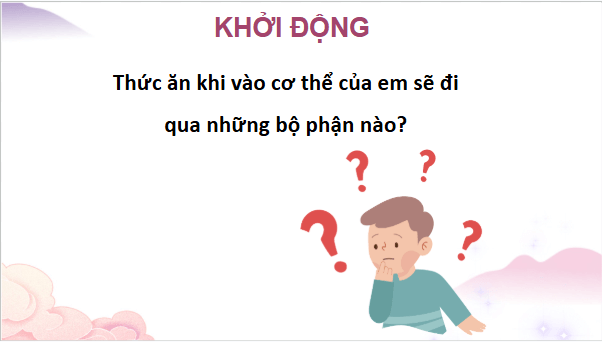 Giáo án điện tử TNXH lớp 3 Chân trời sáng tạo Bài 20: Cơ quan tiêu hóa | PPT Tự nhiên và xã hội lớp 3
