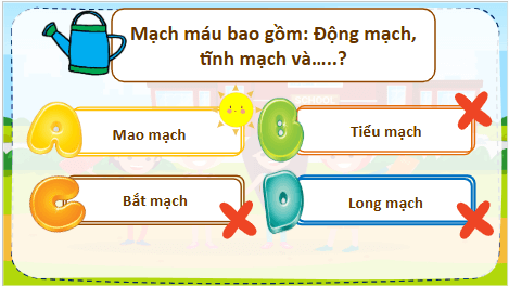 Giáo án điện tử TNXH lớp 3 Kết nối tri thức Bài 21: Chăm sóc và bảo vệ cơ quan tuần hoàn | PPT Tự nhiên và xã hội lớp 3
