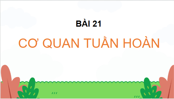 Giáo án điện tử TNXH lớp 3 Chân trời sáng tạo Bài 21: Cơ quan tuần hoàn | PPT Tự nhiên và xã hội lớp 3