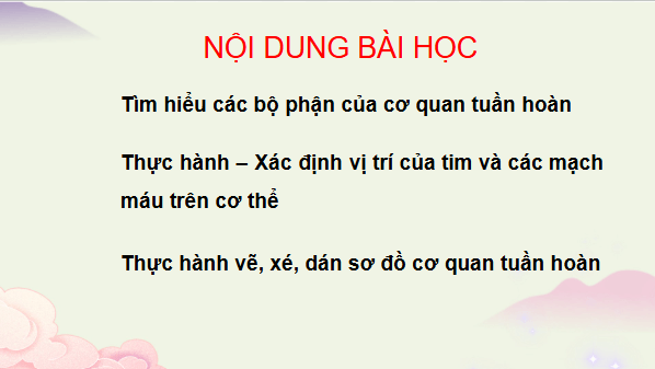 Giáo án điện tử TNXH lớp 3 Chân trời sáng tạo Bài 21: Cơ quan tuần hoàn | PPT Tự nhiên và xã hội lớp 3