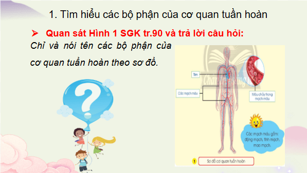 Giáo án điện tử TNXH lớp 3 Chân trời sáng tạo Bài 21: Cơ quan tuần hoàn | PPT Tự nhiên và xã hội lớp 3