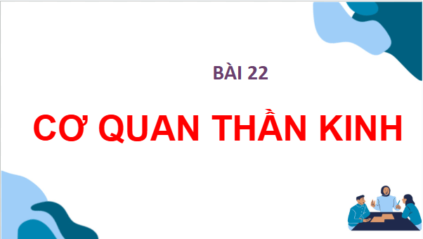 Giáo án điện tử TNXH lớp 3 Chân trời sáng tạo Bài 22: Cơ quan thần kinh | PPT Tự nhiên và xã hội lớp 3