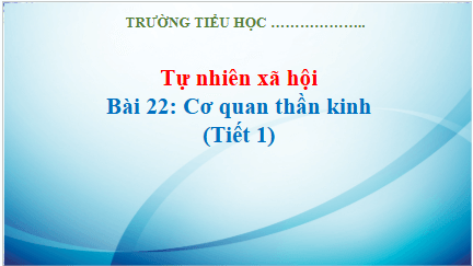 Giáo án điện tử TNXH lớp 3 Kết nối tri thức Bài 22: Cơ quan thần kinh | PPT Tự nhiên và xã hội lớp 3