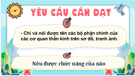 Giáo án điện tử TNXH lớp 3 Kết nối tri thức Bài 22: Cơ quan thần kinh | PPT Tự nhiên và xã hội lớp 3