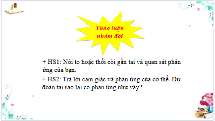 Giáo án điện tử TNXH lớp 3 Kết nối tri thức Bài 22: Cơ quan thần kinh | PPT Tự nhiên và xã hội lớp 3
