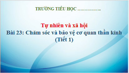 Giáo án điện tử TNXH lớp 3 Kết nối tri thức Bài 23: Chăm sóc và bảo vệ cơ quan thần kinh | PPT Tự nhiên và xã hội lớp 3