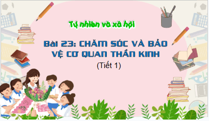 Giáo án điện tử TNXH lớp 3 Kết nối tri thức Bài 23: Chăm sóc và bảo vệ cơ quan thần kinh | PPT Tự nhiên và xã hội lớp 3
