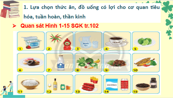 Giáo án điện tử TNXH lớp 3 Chân trời sáng tạo Bài 23: Thức ăn, đồ uống có lợi cho cơ quan tiêu hóa, tuần hoàn và thần kinh | PPT Tự nhiên và xã hội lớp 3