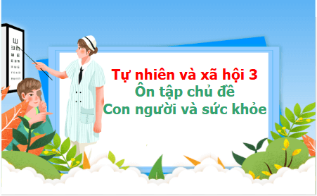 Giáo án điện tử TNXH lớp 3 Kết nối tri thức Bài 25: Ôn tập về chủ đề con người và sức khỏe | PPT Tự nhiên và xã hội lớp 3