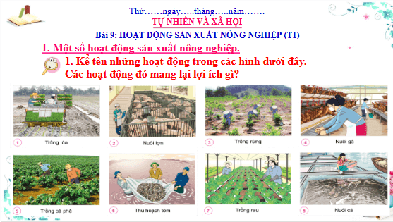 Giáo án điện tử TNXH lớp 3 Cánh diều Bài 9: Hoạt động sản xuất nông nghiệp | PPT Tự nhiên và xã hội lớp 3