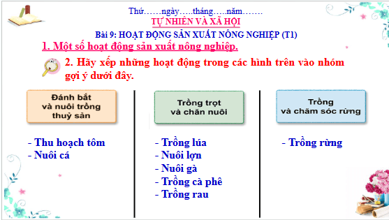 Giáo án điện tử TNXH lớp 3 Cánh diều Bài 9: Hoạt động sản xuất nông nghiệp | PPT Tự nhiên và xã hội lớp 3