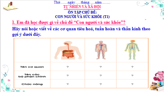 Giáo án điện tử TNXH lớp 3 Cánh diều Ôn tập: Chủ đề con người và sức khỏe | PPT Tự nhiên và xã hội lớp 3
