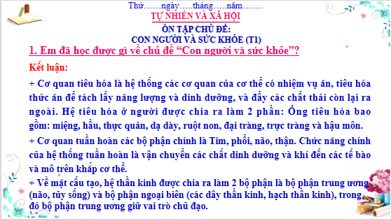 Giáo án điện tử TNXH lớp 3 Cánh diều Ôn tập: Chủ đề con người và sức khỏe | PPT Tự nhiên và xã hội lớp 3