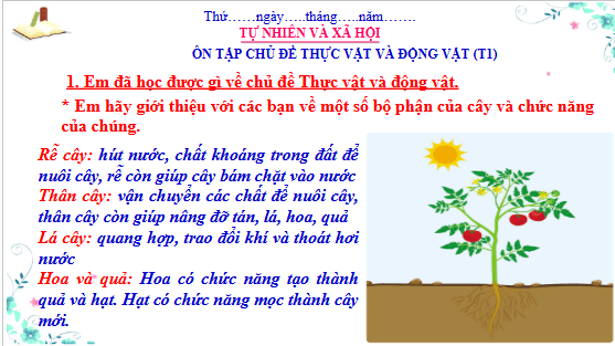 Giáo án điện tử TNXH lớp 3 Cánh diều Ôn tập: Chủ đề thực vật và động vật | PPT Tự nhiên và xã hội lớp 3