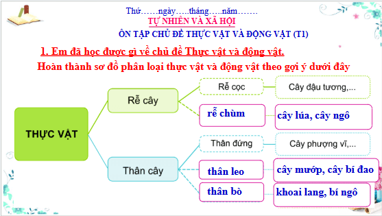 Giáo án điện tử TNXH lớp 3 Cánh diều Ôn tập: Chủ đề thực vật và động vật | PPT Tự nhiên và xã hội lớp 3