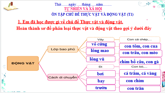Giáo án điện tử TNXH lớp 3 Cánh diều Ôn tập: Chủ đề thực vật và động vật | PPT Tự nhiên và xã hội lớp 3