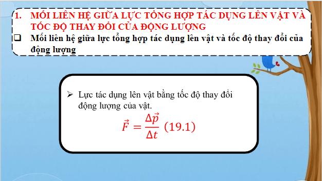 Giáo án điện tử Vật Lí 10 Chân trời sáng tạo Bài 19: Các loại va chạm | PPT Vật Lí 10