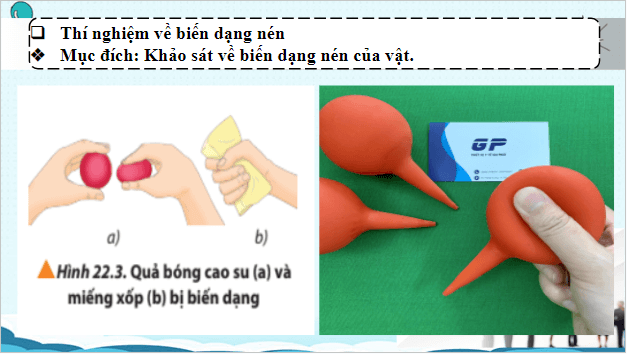 Giáo án điện tử Vật Lí 10 Chân trời sáng tạo Bài 22: Biến dạng của vật rắn. Đặc tính của lò xo | PPT Vật Lí 10