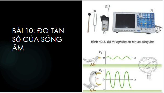 Giáo án điện tử Vật Lí 11 Kết nối tri thức Bài 10: Thực hành: Đo tần số của sóng âm | PPT Vật Lí 11