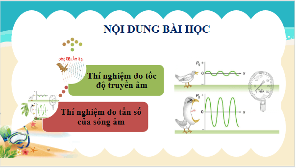 Giáo án điện tử Vật Lí 11 Chân trời sáng tạo Bài 10: Thực hành đo tần số của sóng âm và tốc độ truyền âm | PPT Vật Lí 11