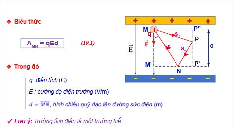 Giáo án điện tử Vật Lí 11 Kết nối tri thức Bài 19: Thế năng điện | PPT Vật Lí 11