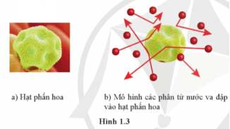 Giáo án Vật Lí 12 Cánh diều Bài 1: Mô hình động học phân tử chất khí