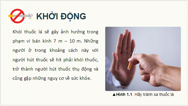 Giáo án điện tử Vật Lí 12 Cánh diều Bài 1: Mô hình động học phân tử chất khí | PPT Vật Lí 12