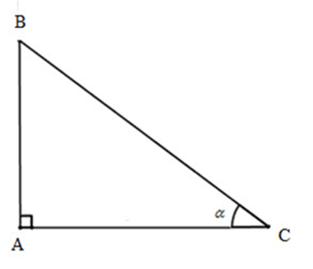 Giáo án Toán 10 Chân trời sáng tạo Bài 1: Giá trị lượng giác của một góc từ 0° đến 180°