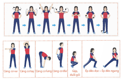 Giáo án Bóng chuyền 11 Kết nối tri thức (năm 2026 mới nhất)
