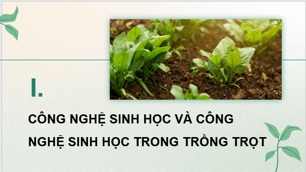 Giáo án điện tử Chuyên đề Công nghệ 10 Kết nối tri thức (hay nhất) | Bài giảng powerpoint (PPT) Chuyên đề Công nghệ 10