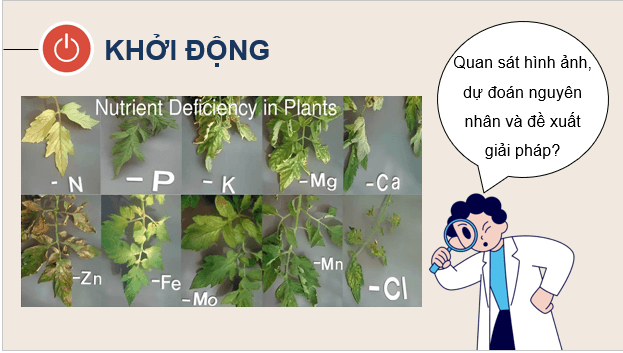 Giáo án điện tử Chuyên đề Hóa học 11 Kết nối tri thức (hay nhất) | Bài giảng powerpoint (PPT) Chuyên đề Hóa 11