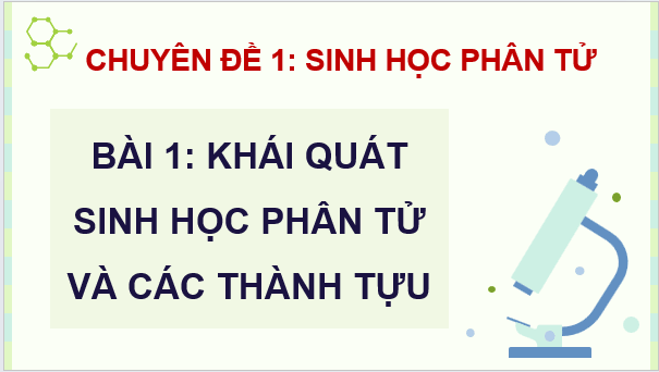 Giáo án điện tử Chuyên đề Sinh học 12 Kết nối tri thức (hay nhất) | Bài giảng powerpoint (PPT) Chuyên đề Sinh 12