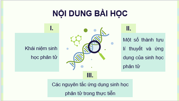 Giáo án điện tử Chuyên đề Sinh học 12 Kết nối tri thức (hay nhất) | Bài giảng powerpoint (PPT) Chuyên đề Sinh 12