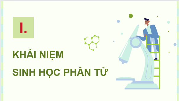 Giáo án điện tử Chuyên đề Sinh học 12 Kết nối tri thức (hay nhất) | Bài giảng powerpoint (PPT) Chuyên đề Sinh 12