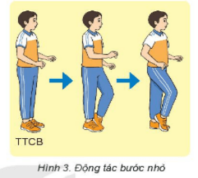 Giáo án Giáo dục thể chất 6 Kết nối tri thức (năm 2026 mới nhất)