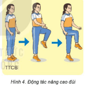 Giáo án Giáo dục thể chất 6 Kết nối tri thức (năm 2026 mới nhất)