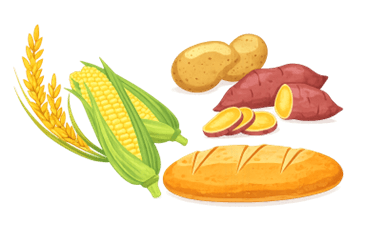 Giáo án Giáo dục thể chất lớp 5 Kết nối tri thức (năm 2026 mới nhất)