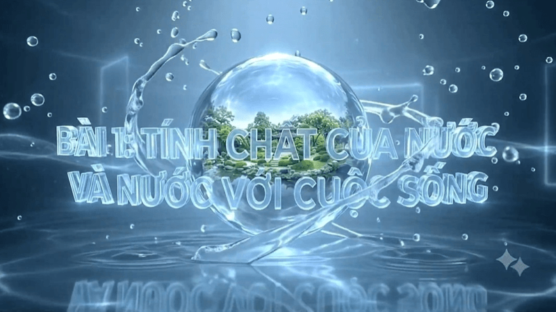 Video AI khởi động Khoa học lớp 4
