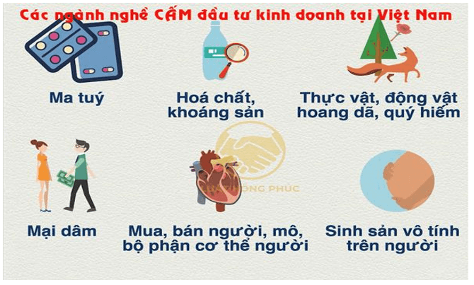 Lý thuyết GDCD 9 Cánh diều Lý thuyết Bài 10: Quyền tự do kinh doanh và nghĩa vụ nộp thuế