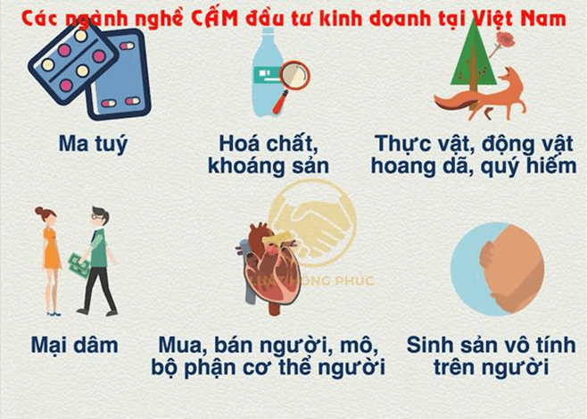 Lý thuyết GDCD 9 Chân trời sáng tạo Bài 10: Quyền tự do kinh doanh và nghĩa vụ nộp thuế