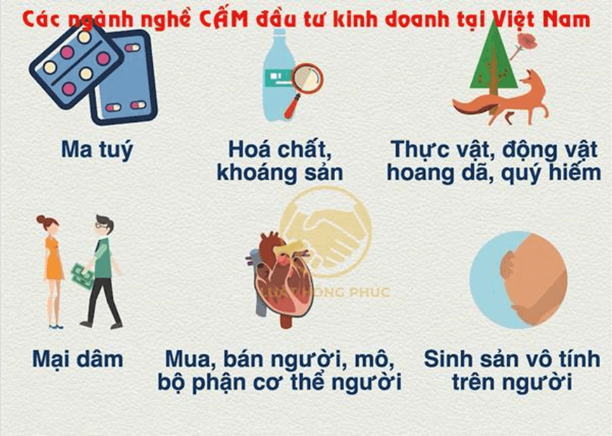 Lý thuyết GDCD 9 Kết nối tri thức Bài 10: Quyền tự do kinh doanh và nghĩa vụ nộp thuế