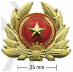 Quân hiệu Quân đội nhân dân Việt Nam là gì trang 16 GDQP 12