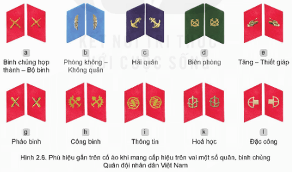 Hãy tìm hiểu về phù hiệu của các lực lượng khác trong Quân đội nhân dân Việt Nam
