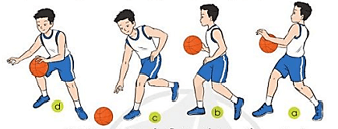 Nêu những điểm khác biệt giữa kĩ thuật dẫn bóng theo đường thẳng và kĩ thuật dẫn bóng biến hướng