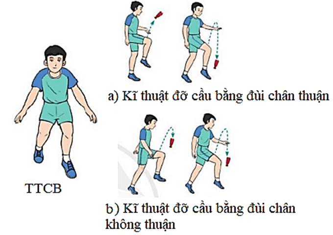 Thảo luận: Những điểm giống và khác nhau khi thực hiện kĩ thuật đỡ cầu bằng đùi