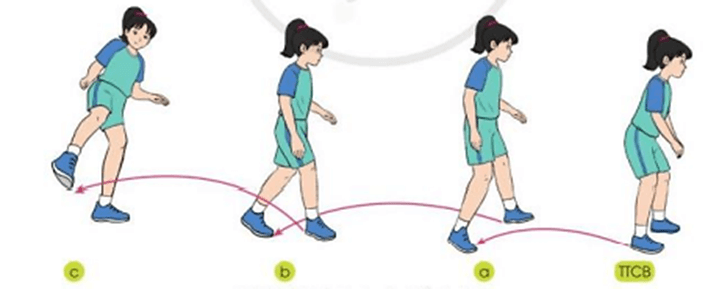 Vận dụng kĩ thuật di chuyển nhiều bước và kĩ thuật tâng cầu bằng mu bàn chân