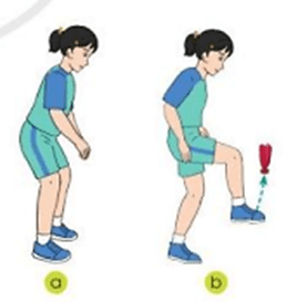 Vận dụng kĩ thuật đỡ cầu vào các trò chơi vận động tập luyện hằng ngày